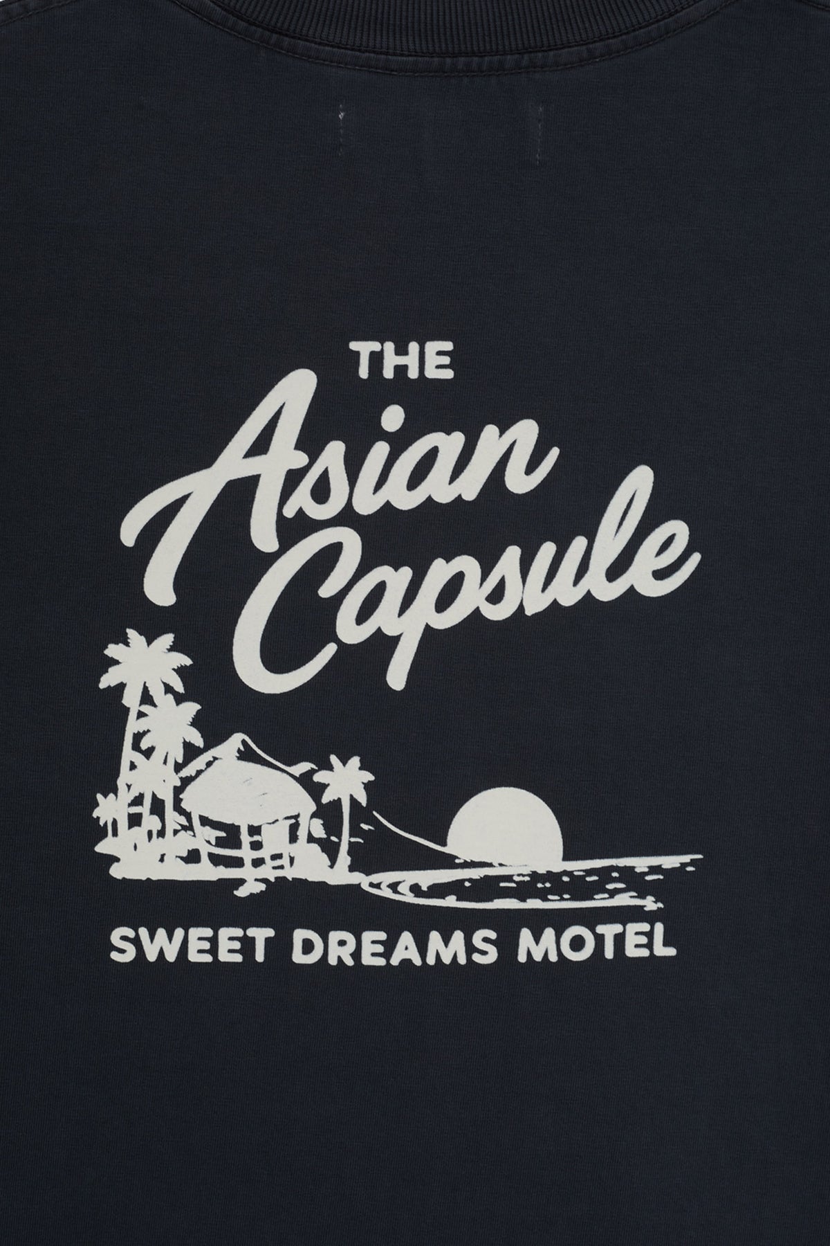 CAMISETA ASIAN CAPSULE CINZA