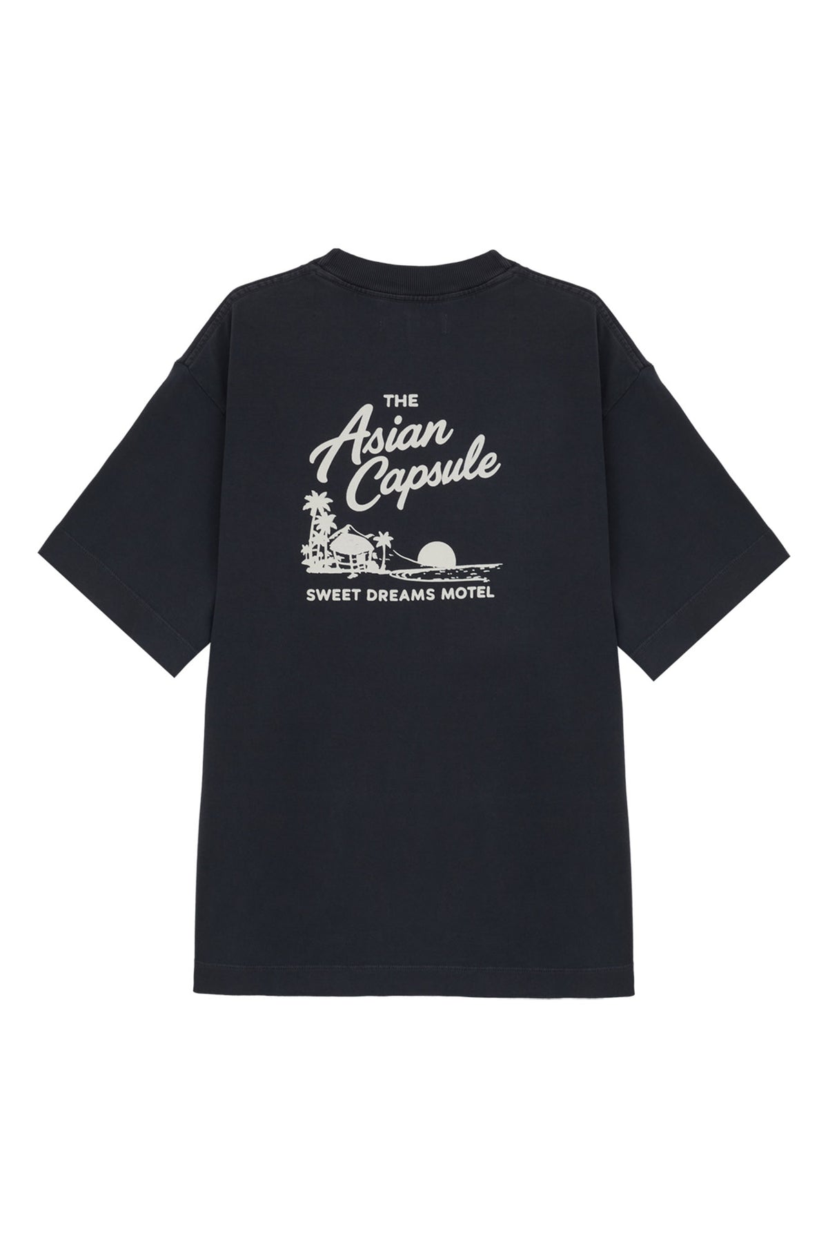 CAMISETA ASIAN CAPSULE CINZA