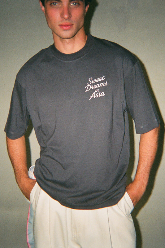 CAMISETA ASIAN CAPSULE CINZA
